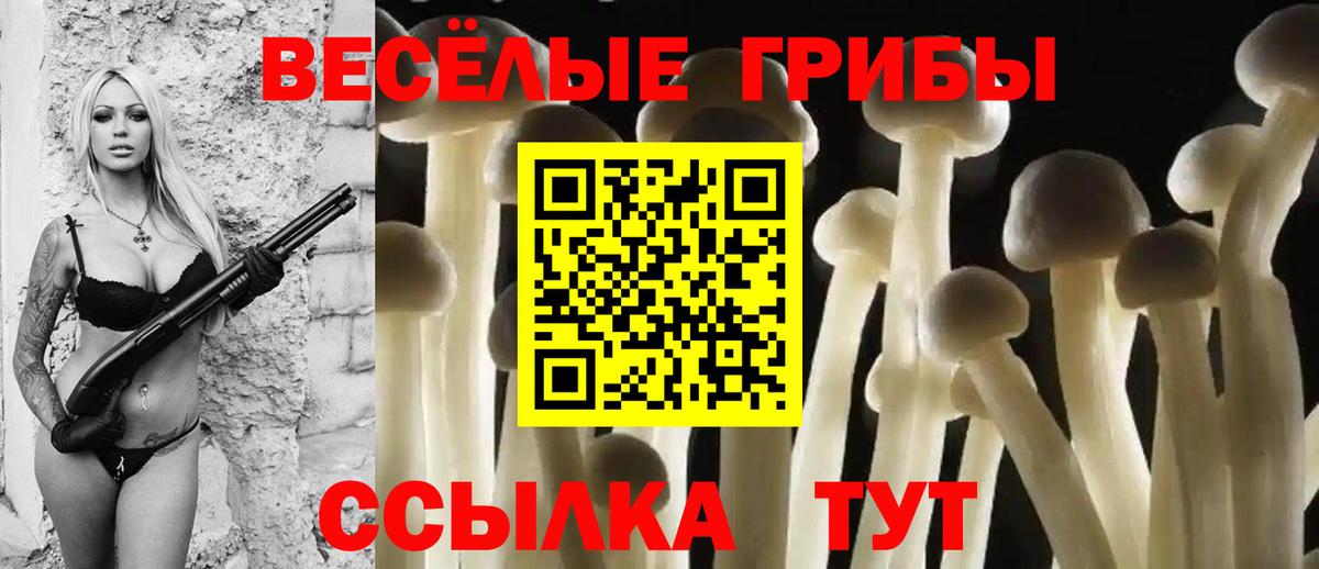 Королёв  Псилоцибиновые грибы Psilocybine cubensis  Вход с VPN  Псилоцибиновые грибы мухоморы 